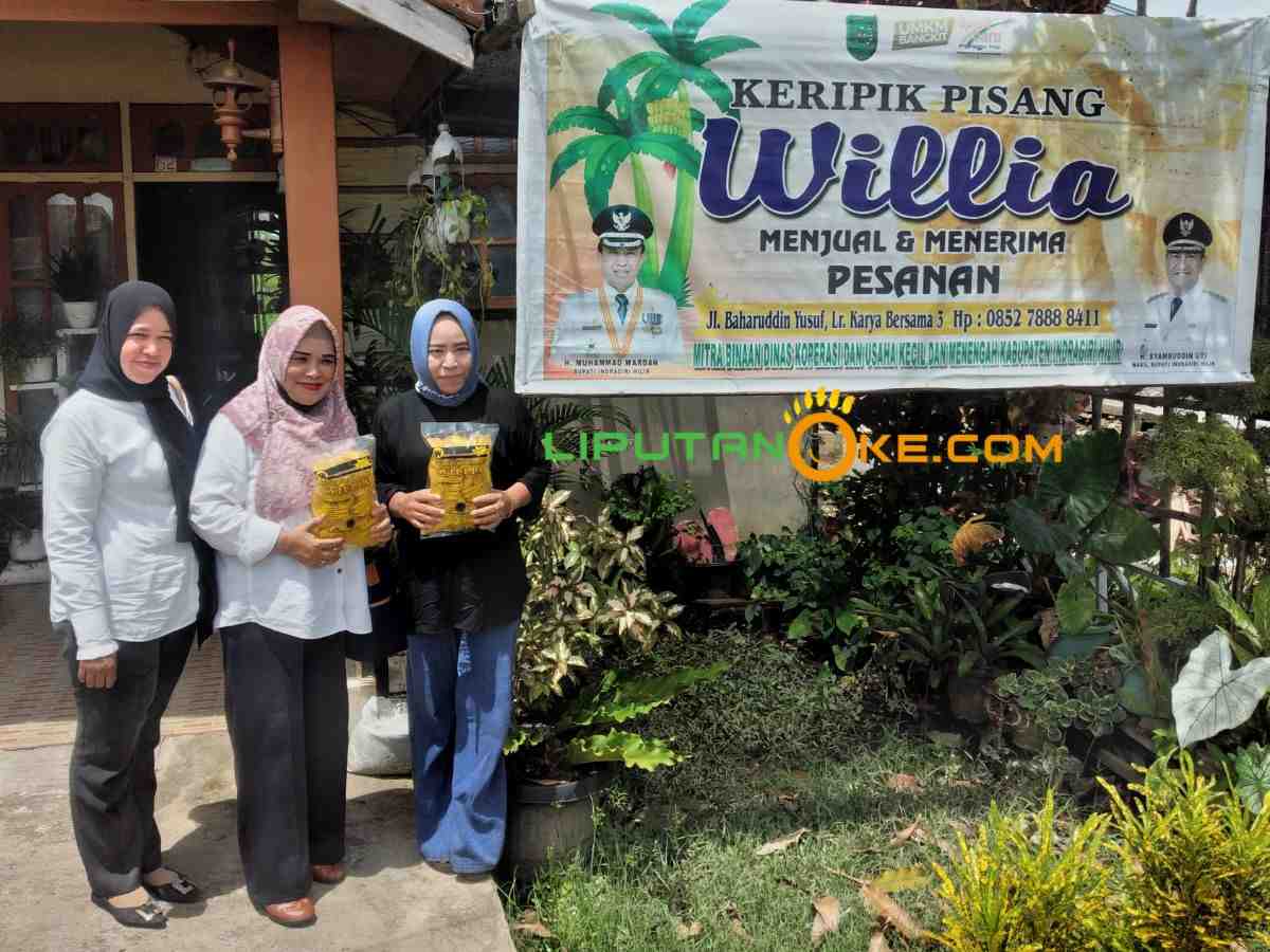 Tim dari Diskop dan UKM Inhil Monitoring ke UMKM Willia